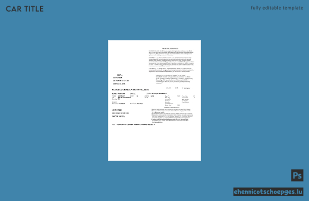 USA, Florida: Beispielvorschau der Fahrzeugregistrierung in Word- und PDF-Formaten